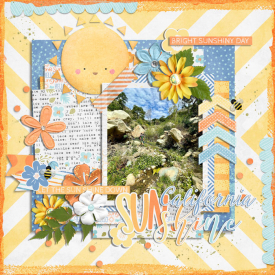 0410-RR-sun-shine-down.jpg