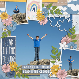 0527-RR-head-in-the-clouds.jpg