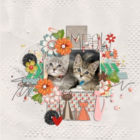 0623-rr-sassy-cat-700.jpg