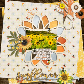 0821-RR-sunflower-glow.jpg