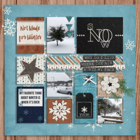 1126-RR-snow-thanks.jpg
