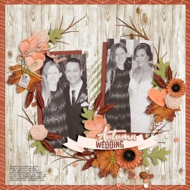 14-autumn-wedding-0920rr.jpg