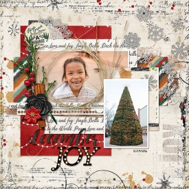 2016-12-29-decemberjoy_sm.jpg
