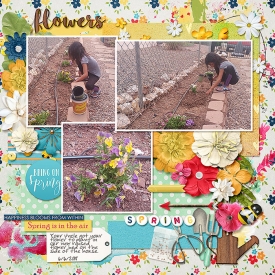 2018-06-06-flowers_sm.jpg