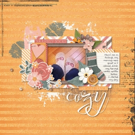 2019-01-07-cozy2_sm.jpg
