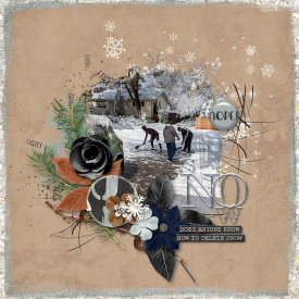 2019-11-29-nopetosnow_sm.jpg