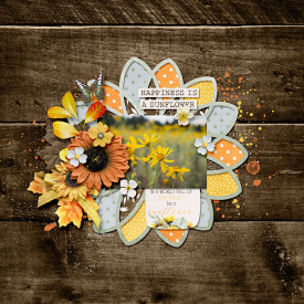2020-08-20-happinessisasunflower_sm.jpg