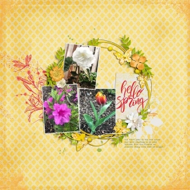 30-hello-spring-0405rr.jpg