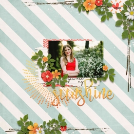 5-you-are-my-sunshine-0511rr.jpg