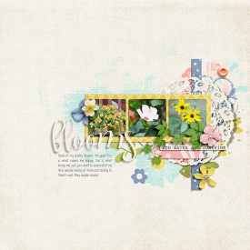 Blooms1.jpg