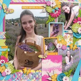Fairywingshp220.jpg