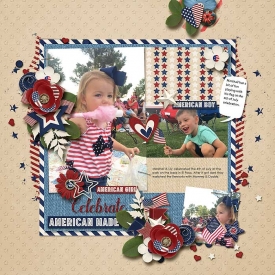 HSA-sizzlin-summer_rr_americanmade_robin_700.jpg
