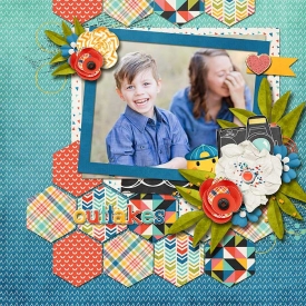 MFish_HexagonLove_rr_pictureday_robin_700.jpg