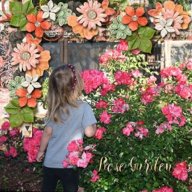 Missmel-JG2_riverrose_rosegarden_robin_web.jpg
