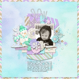 SnowFlurries_BrightSide_700.jpg