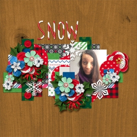 Tinci_BIW_ay_rr_themerriest_robin_web.jpg
