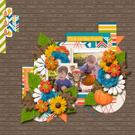 Tinci_JIF4_rr_FallFestivities_robin_web.jpg