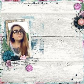 dsdlayout2.jpg