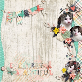 everyday_beautiful_700.jpg
