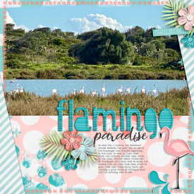 flamingo-paradise-0619rr.jpg