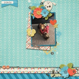jy_jandaily-tp19_rr_pawprints_web.jpg