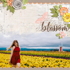 let-your-dreams-blossom-0327rr.jpg