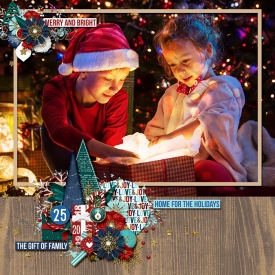 merryandbrightF700.jpg