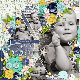 sweetmemoryF700.jpg