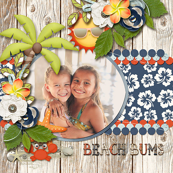 tssa_youamazeme_rr_BeachBum_robin_web
