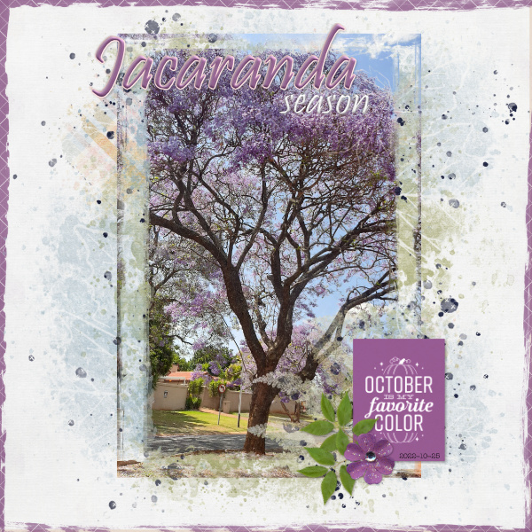 2022-10-25_JacarandaSeason