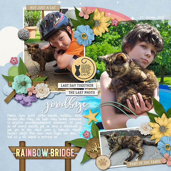 Dagi-LJS-RainbowBridge-600