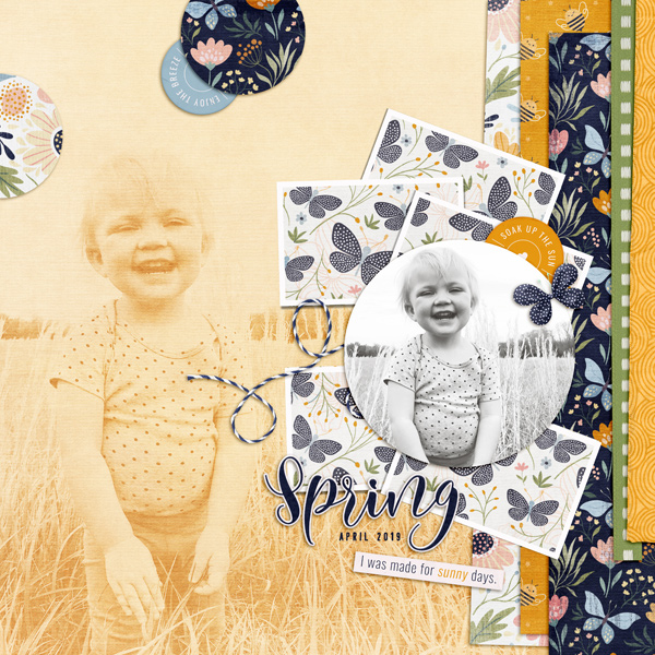 Spring37