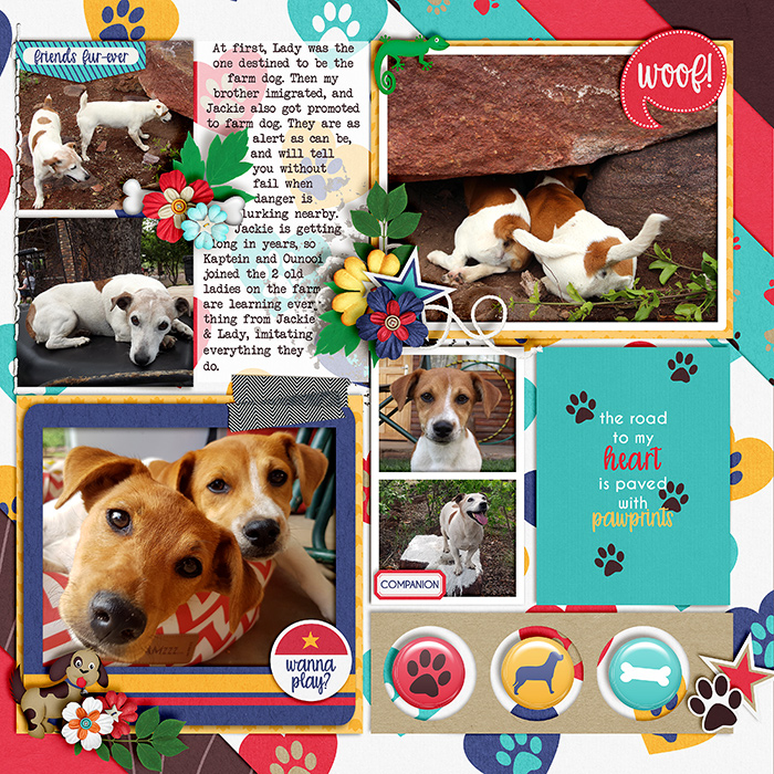 farm-dog-life-700-389