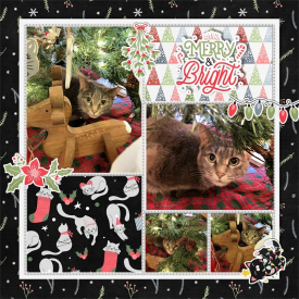 Countdown_to_Christmas.jpg