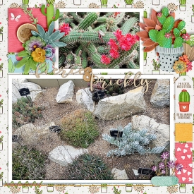 Kew_s-Cacti-Left-700-392.jpg