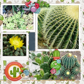 Kew_s-Cacti-Right-700-398.jpg