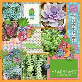 NTTD_Long_855_Ashaw_A-succulent-spring_LJS_Temp-Tinci_JF2.jpg