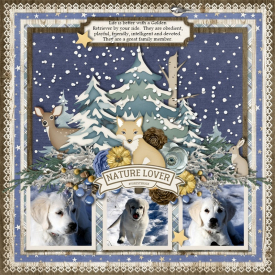 Winter_Woods_template.jpg