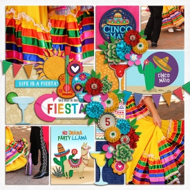 cincodemayoF700.jpg
