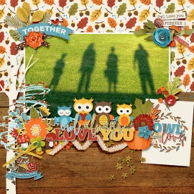 ljs-Owl-You-Need-Is-Love.jpg