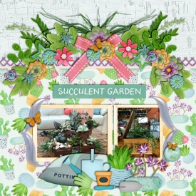 xboxmom-asucculentspring-700.jpg