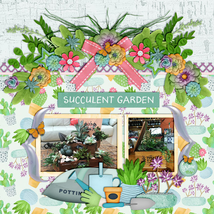 xboxmom-asucculentspring-700