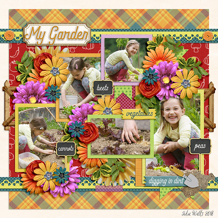 KB-my-garden