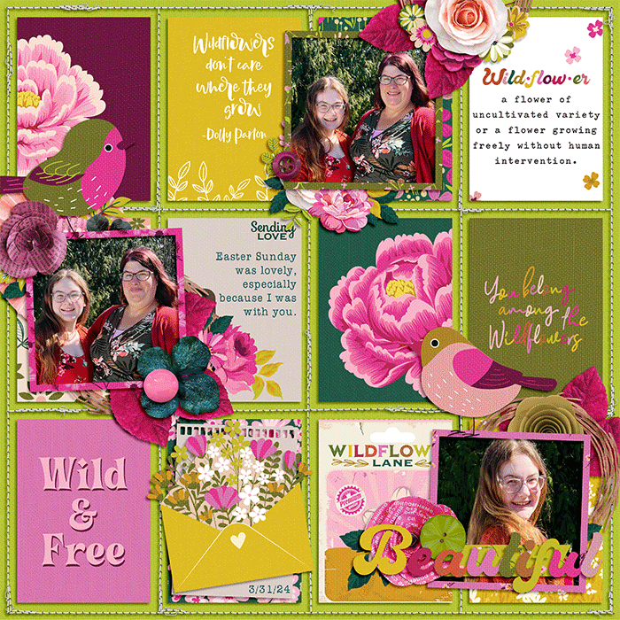 beautiful_web1