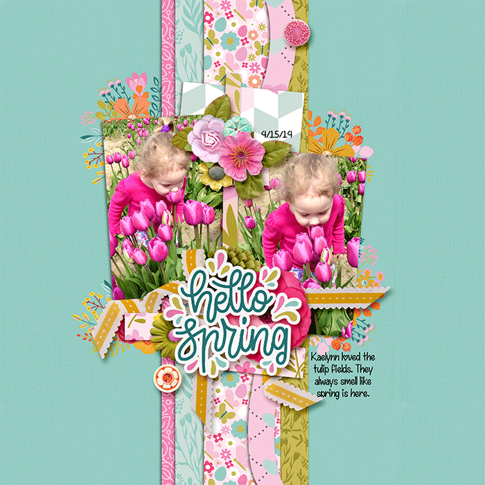 hellospring_web