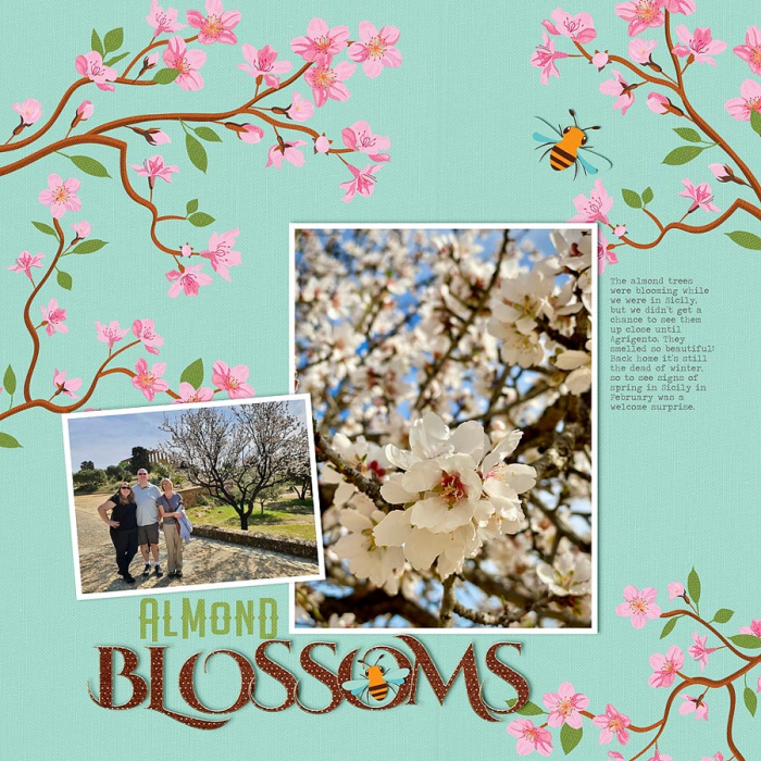 ~Almond Blossoms~