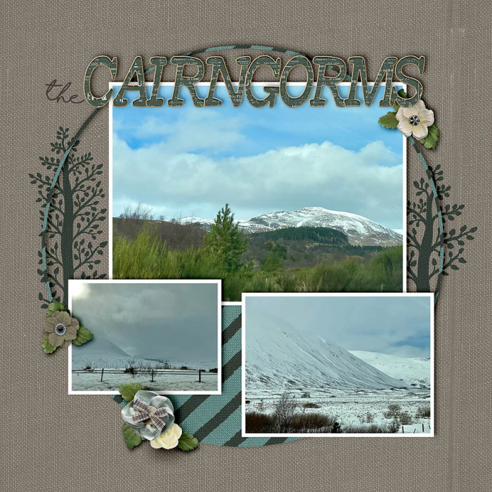 ~The Cairngorms~