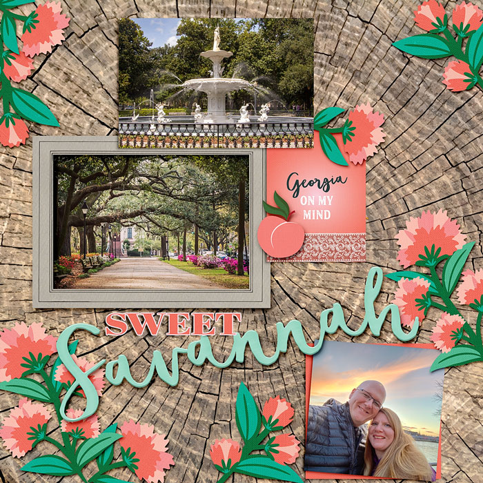 sweet-savannah-1001kb