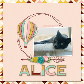 17-alice-0612kb.jpg