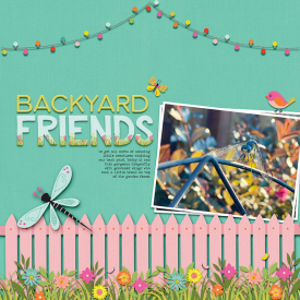 29-backyard-friends-0326kb.jpg